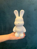 Bunny Plaster Painting Kit
